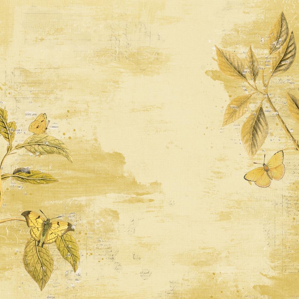49 And Market Collection Pack 12X12 - Color Swatch: Ochre