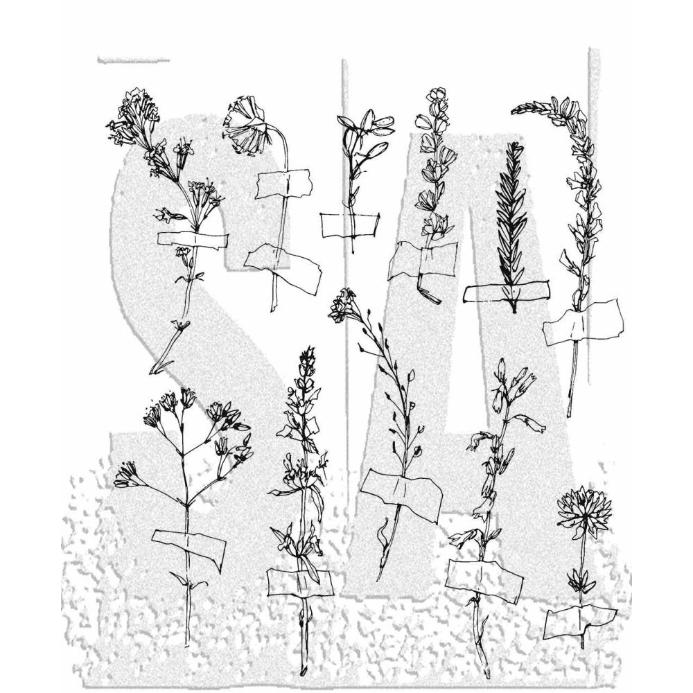 Tim Holtz Cling Stamps - Forgotten Garden