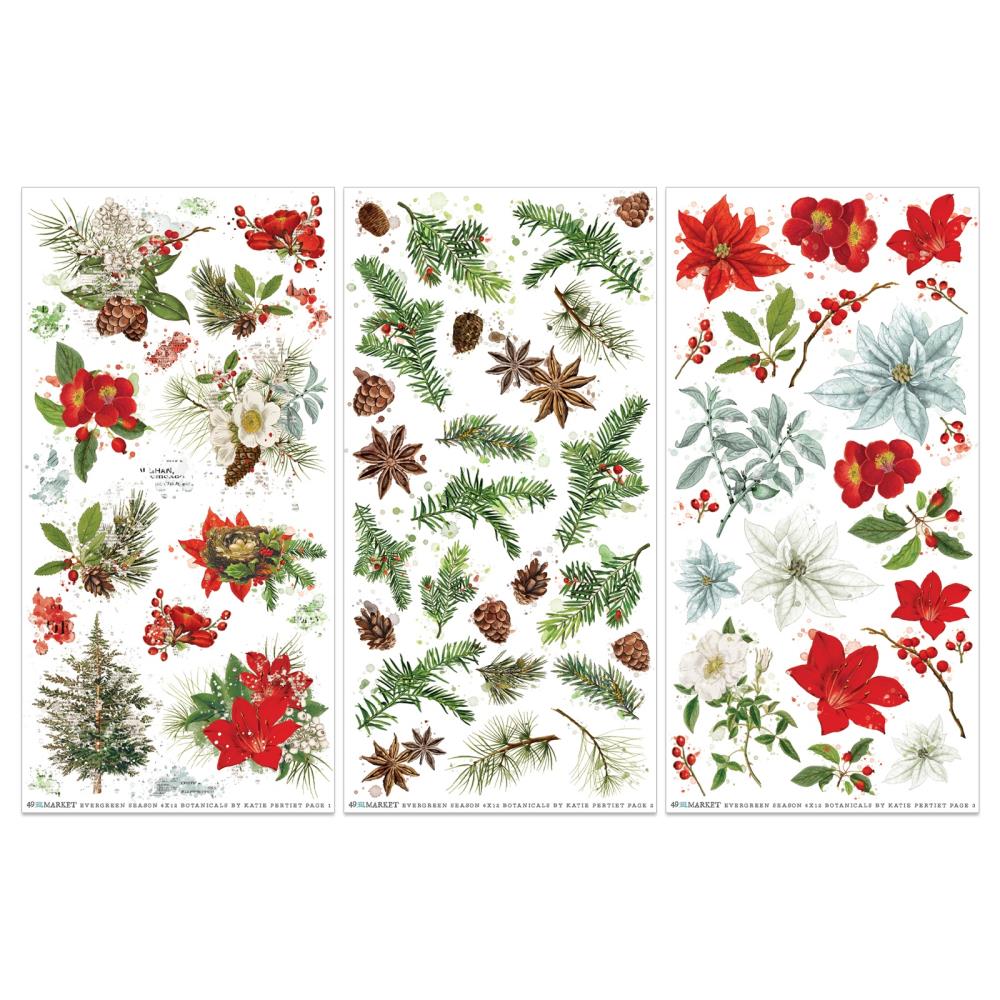 49 And Market Rub-On Transfer Set - Botanical Evergreen Season
