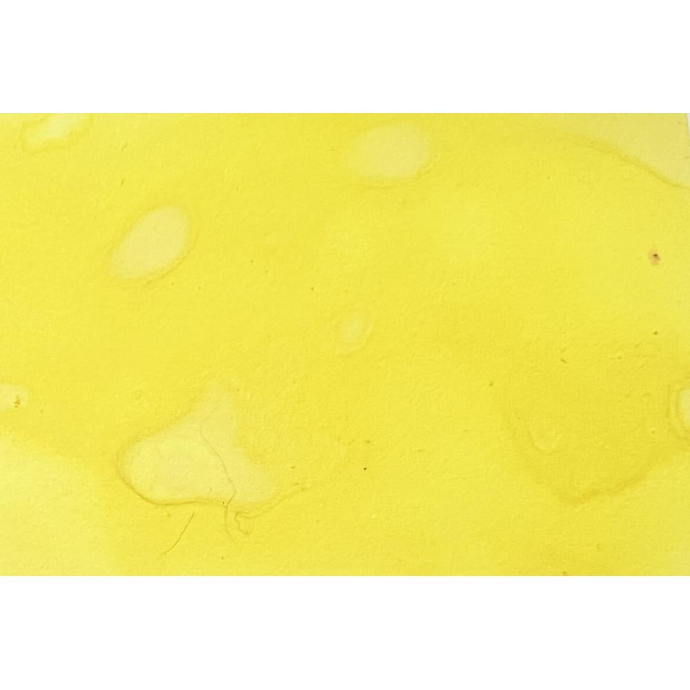 Lindys Stamp Gang Magical Shaker - Go Girl Flats