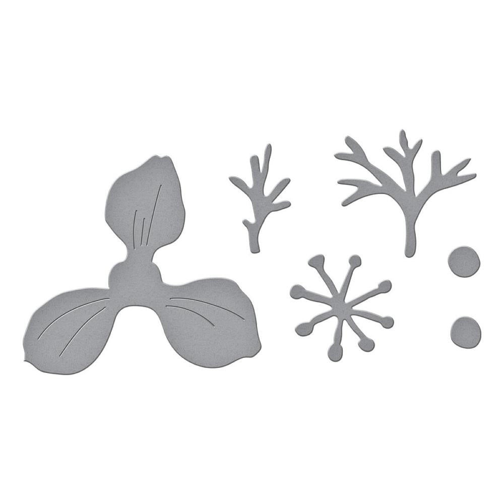 Spellbinders Etched Dies - Summer Solstice Garden - Anemone