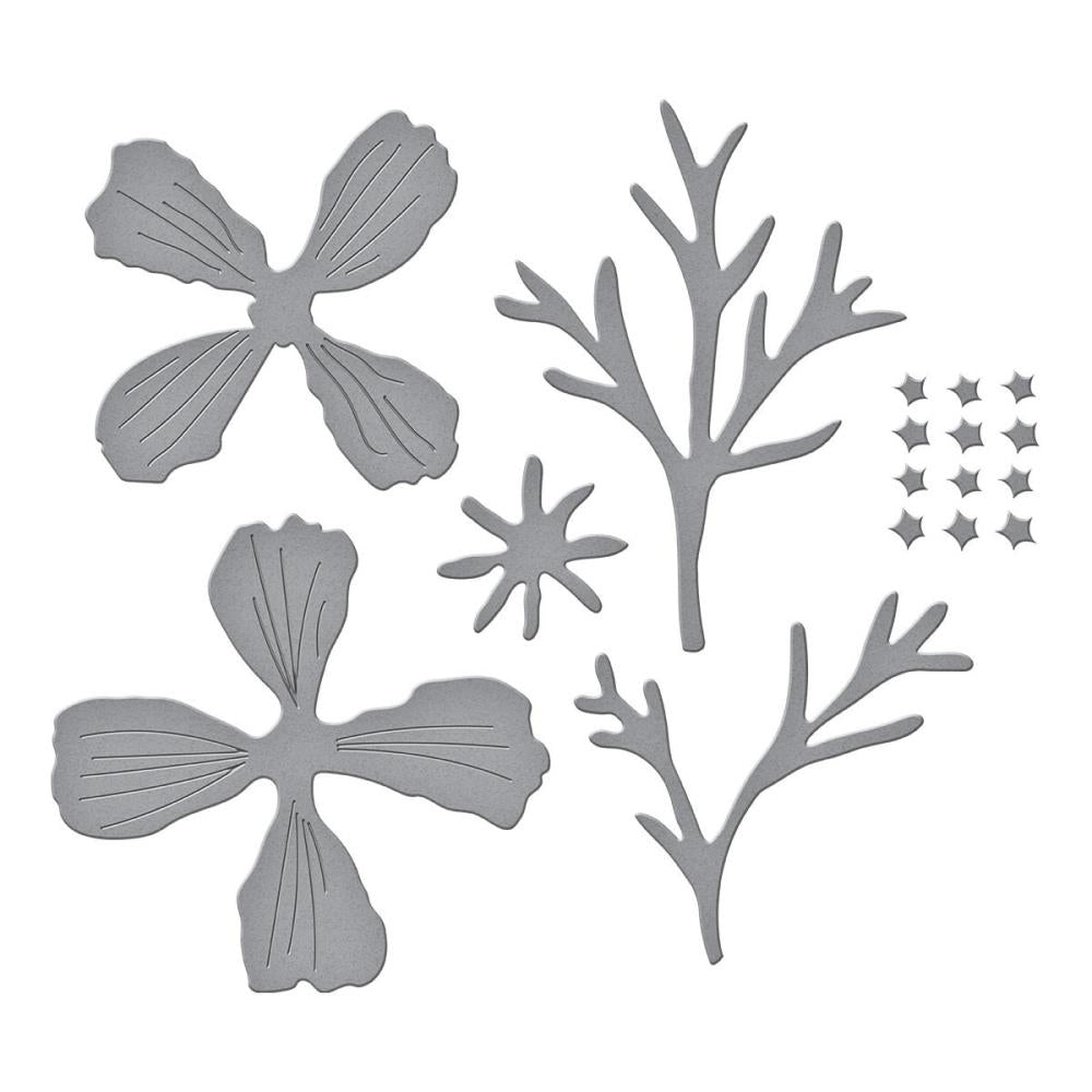 Spellbinders Etched Dies - Cosmos