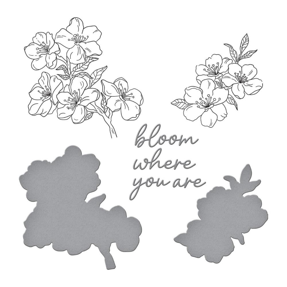 Spellbinders Press Plate and Die Set - Spring in Kyoto - Cherry Blossoms