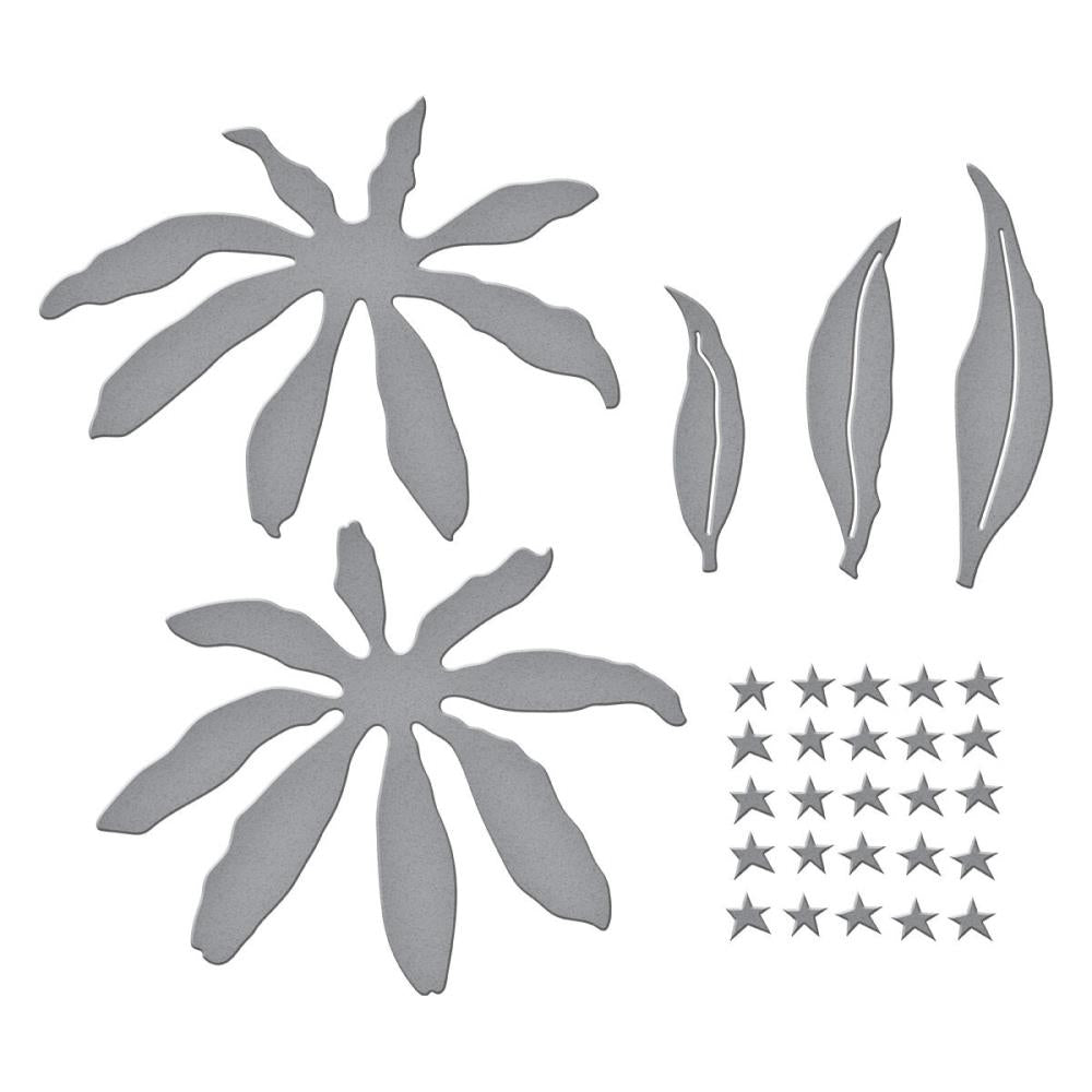 Spellbinders Etched Dies - Echinacea