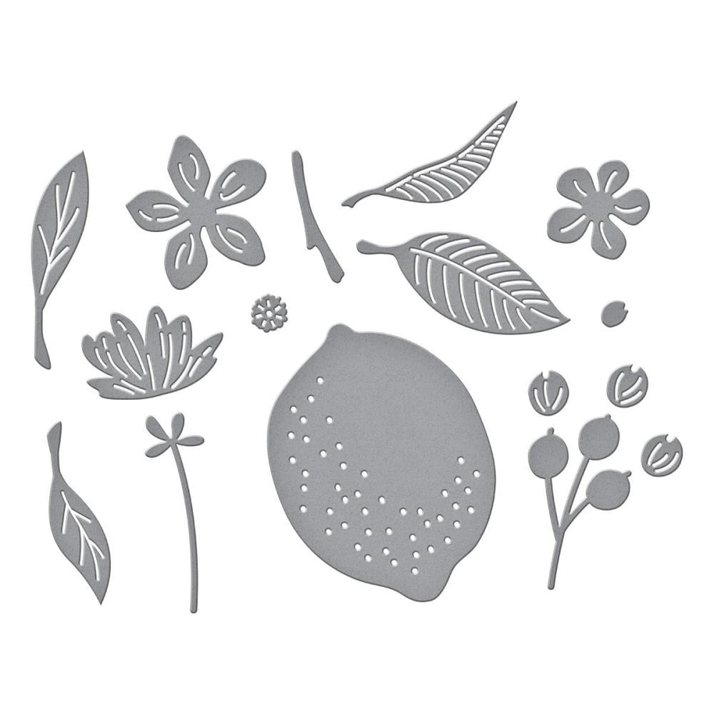 Spellbinders Etched Dies - Citrus Spritz