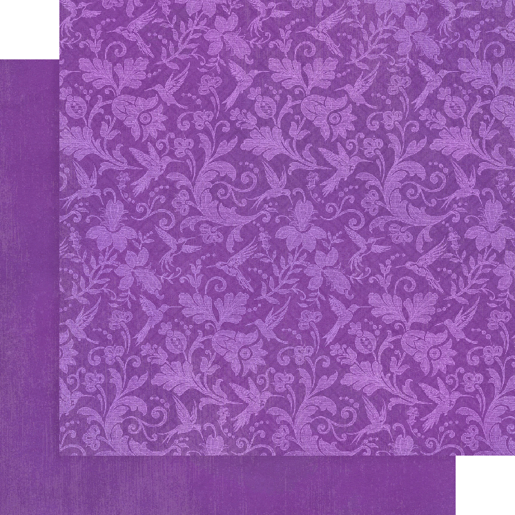 Graphic 45 - Collection Pack Patterns and Solids 12x12 - Flight Of Fancy