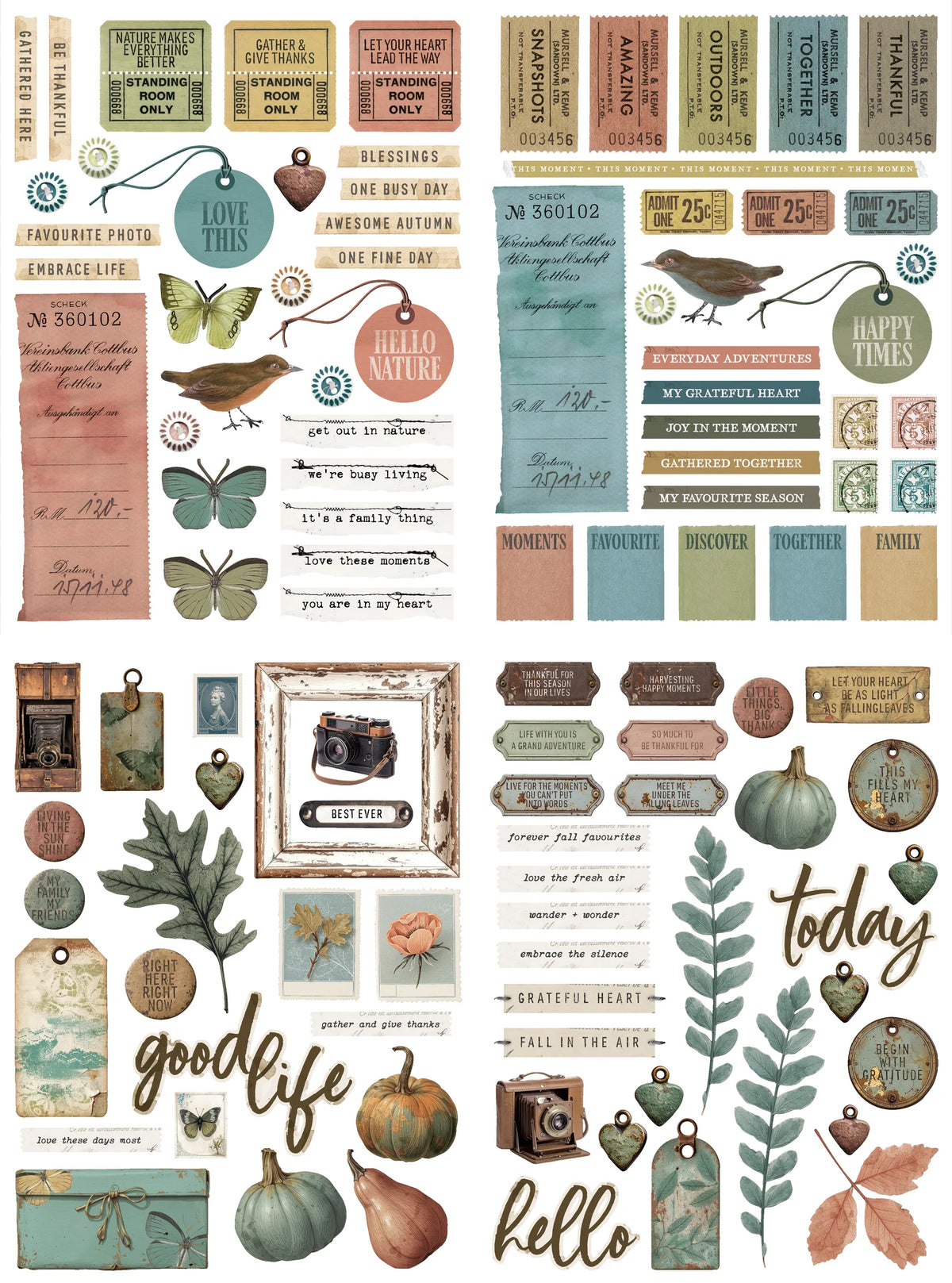Arden Laser Cuts - Amber Ledgers Essentials