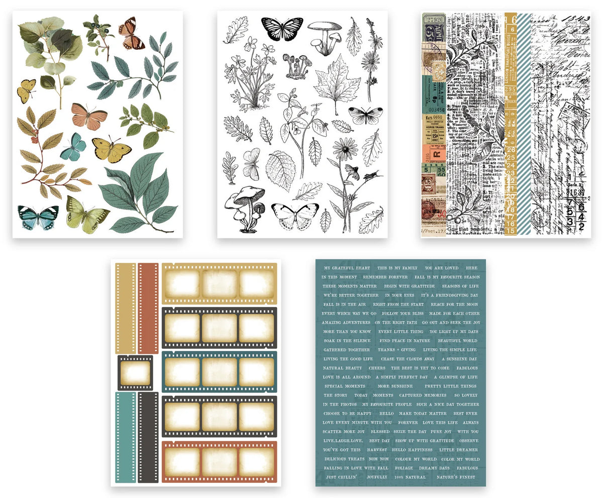 Arden Sticker Book - Amber Ledgers