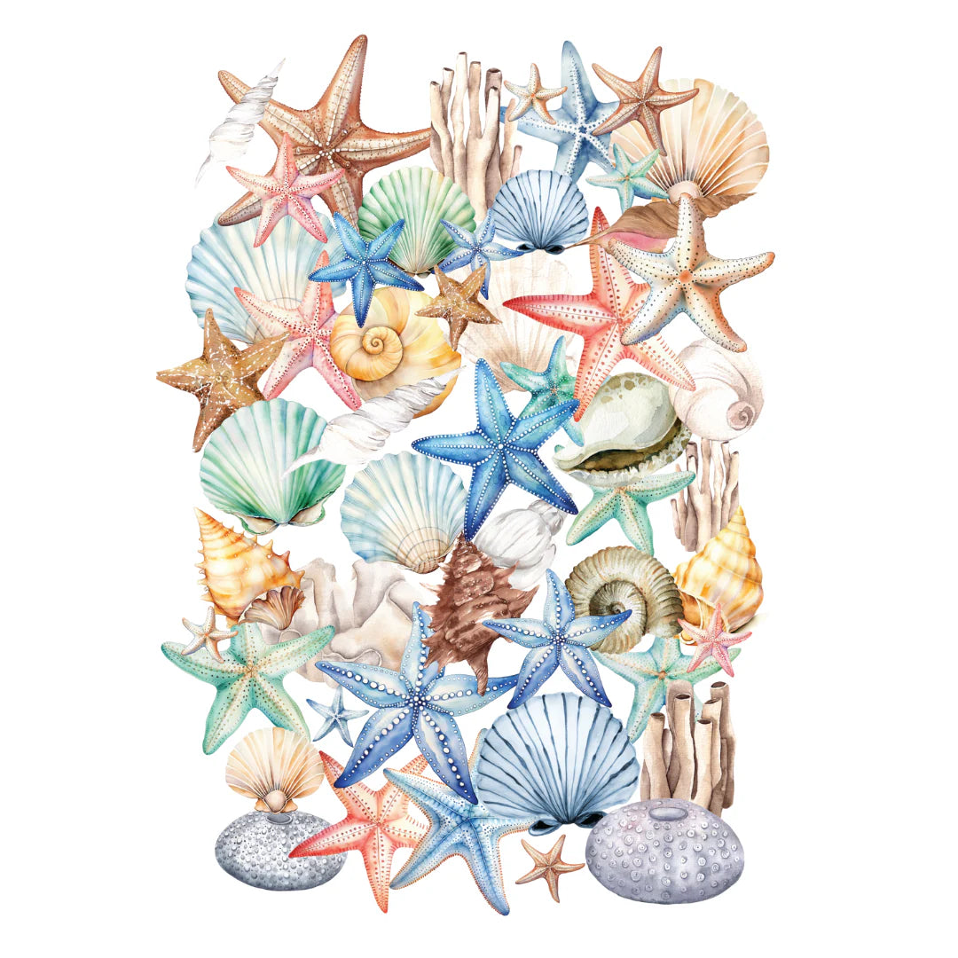 Uniquely Creative - Coastal Ephemera