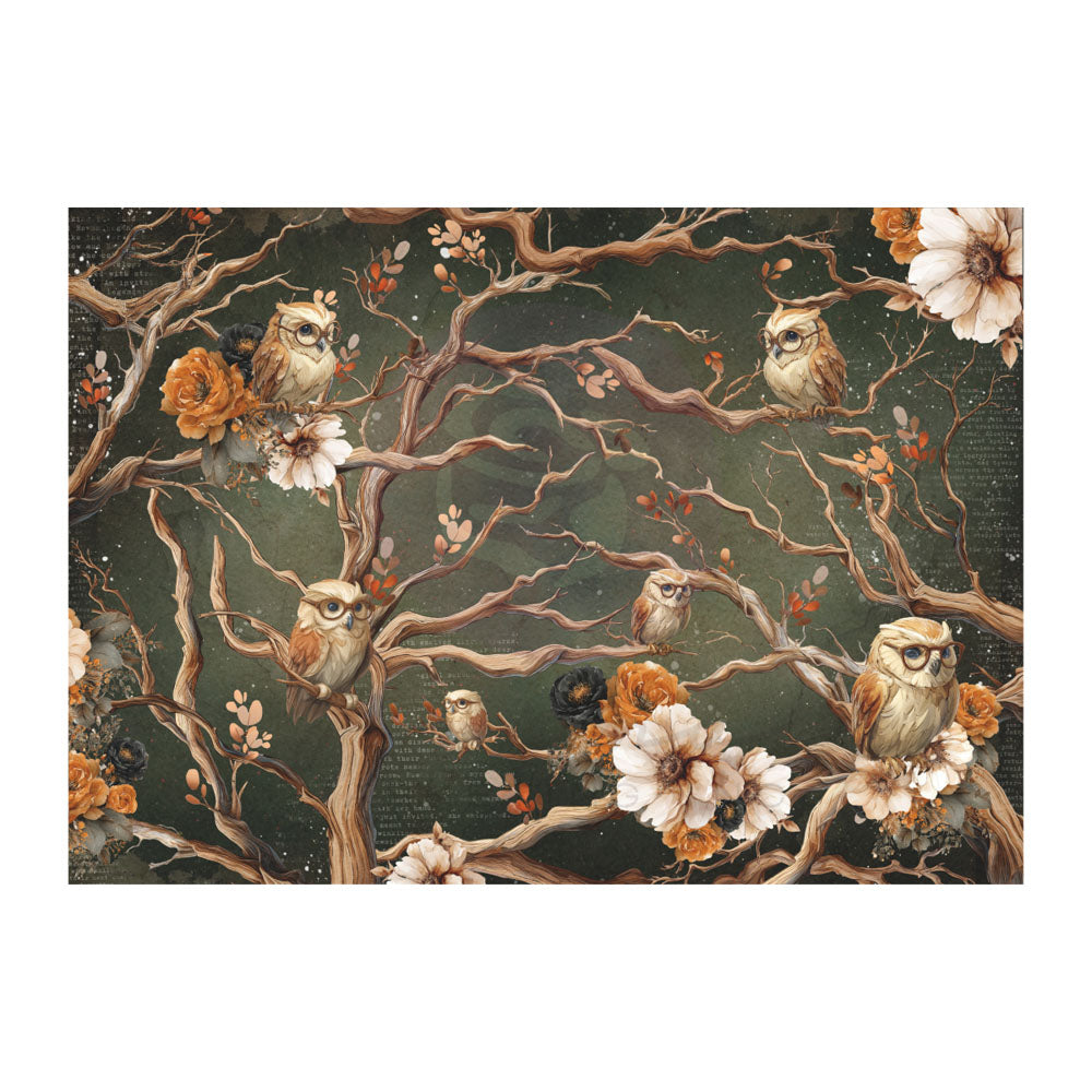 Finnabair A3 Decoupage - Made of Magic 1 sheet