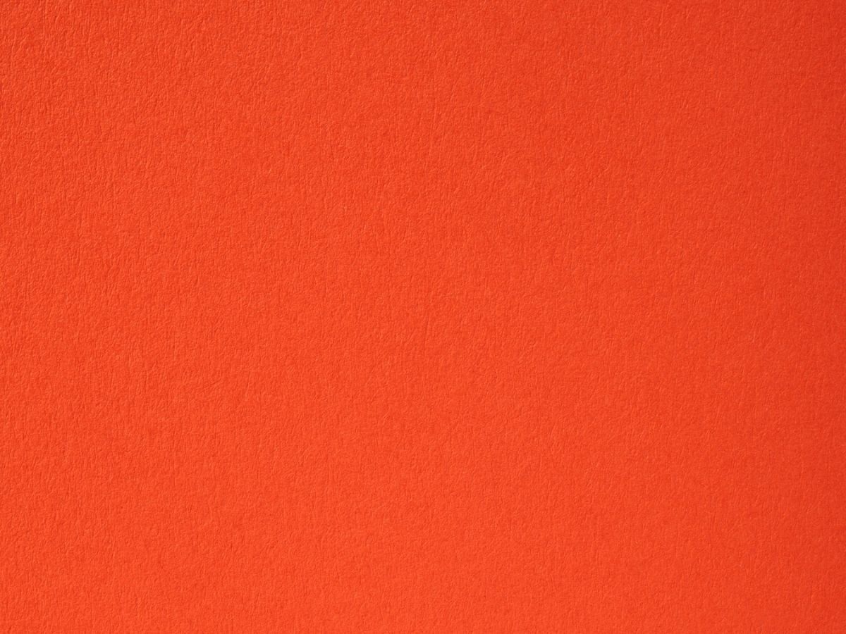 Kaleidoscope 12 x 12 Card 270gsm - Lobster