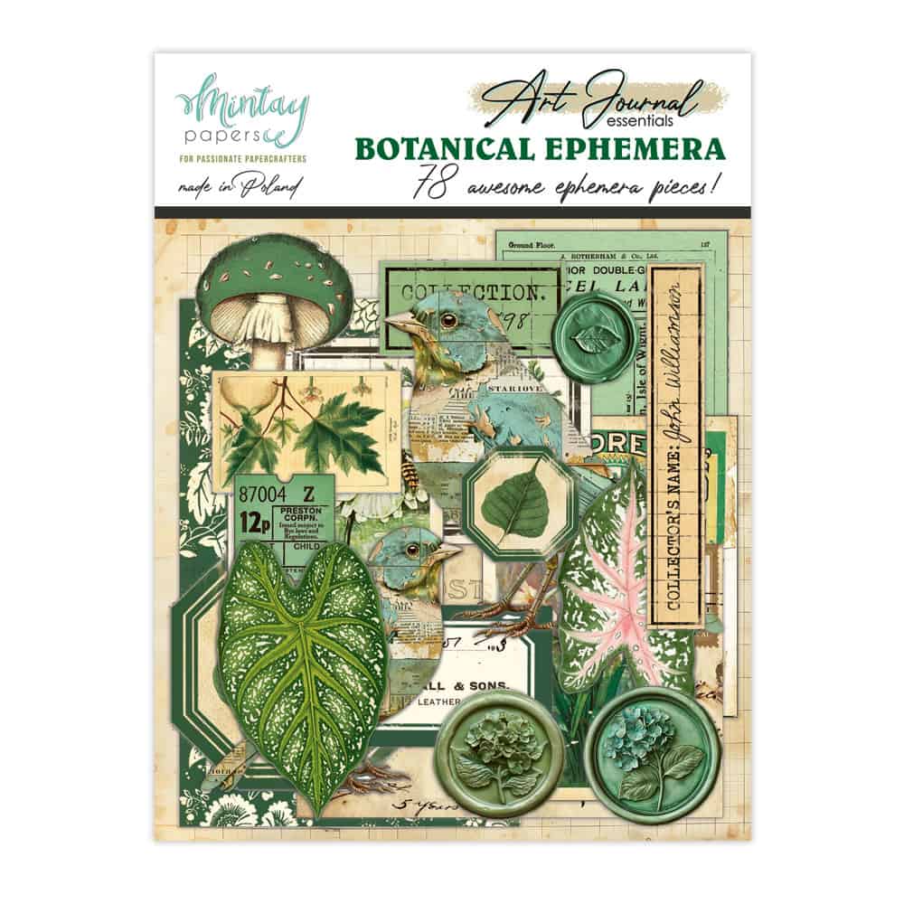 Green ephemera papers on a beige background