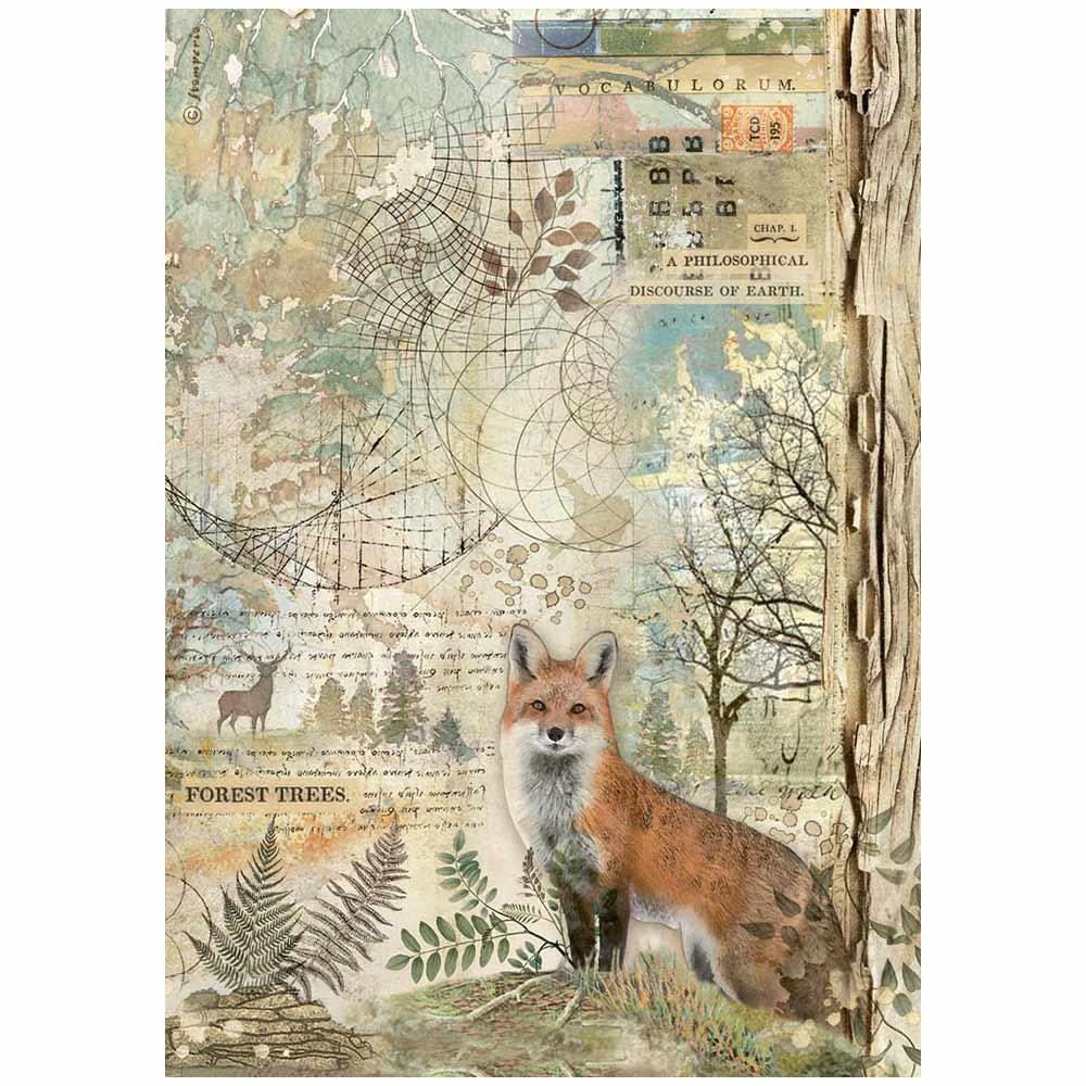 Stamperia Rice Paper Sheet A4 - Forest Fox