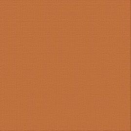 Textured Cardstock CC - Burnt Sienna - Rust