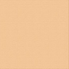 Textured Cardstock CC - Cantelaupe 250gsm
