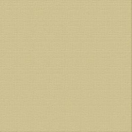 Textured Cardstock CC - Driftwood 250gsm