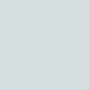 Textured Cardstock CC - Ice Crystal - Rain