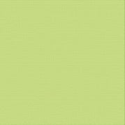 Textured Cardstock CC - Mantis 250gsm