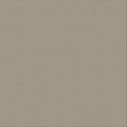 Textured Cardstock CC - Silver Star - Ash