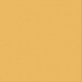 Textured Cardstock CC - Topaz 250gsm