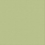 Textured Cardstock CC - Verde - Mint
