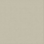 Textured Cardstock CC - Whisper