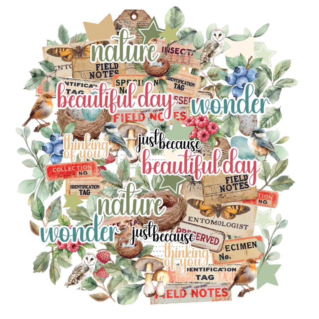 Uniquely Creative - Creative Cuts - Botanical Chronicles