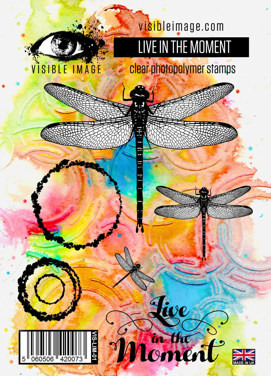 dragonfly, circles and quotes on a colourful background