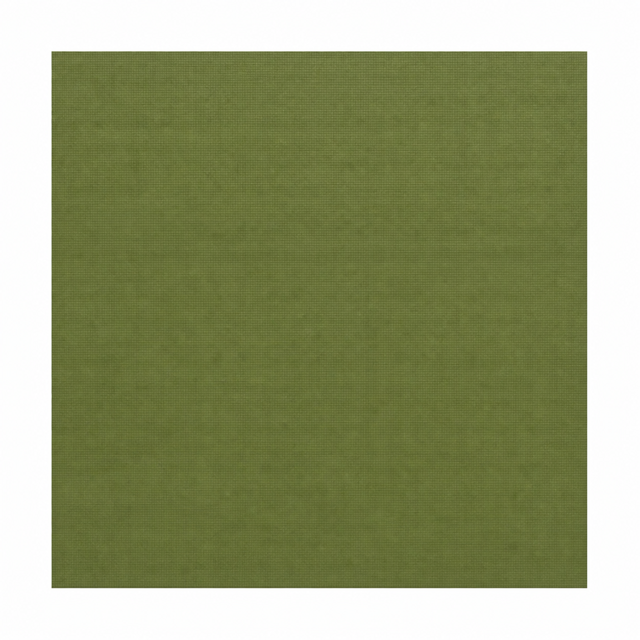 Single textured Oregano olive-green cardstock sheet on a white background