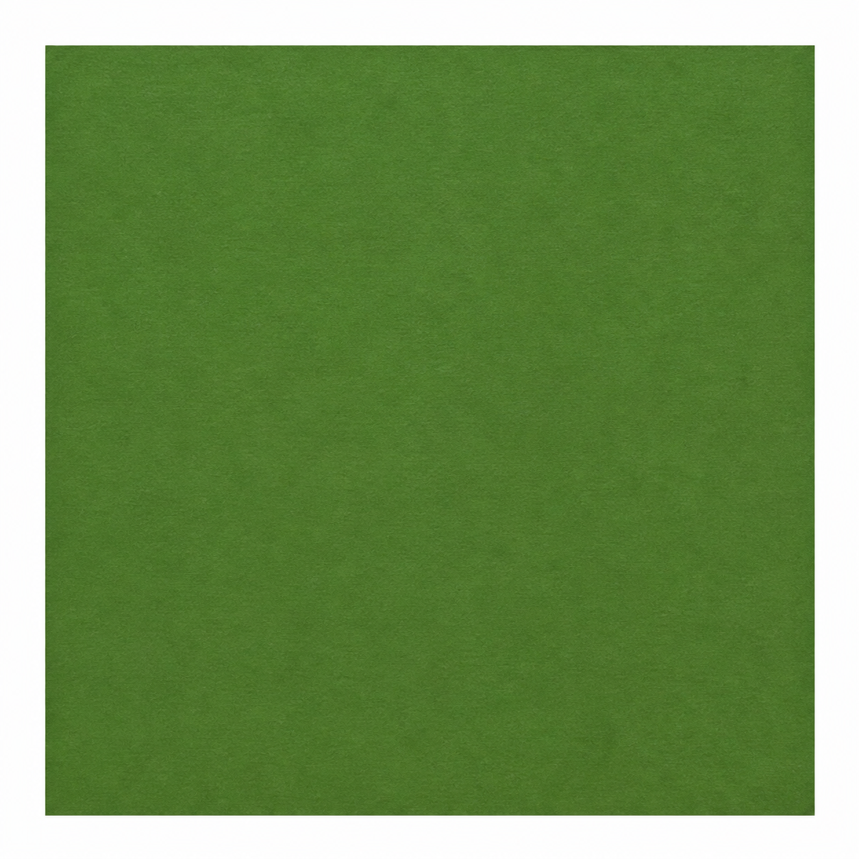Single textured Spinach green cardstock sheet on a white background