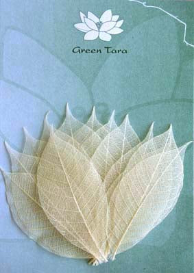 Skeleton Leaves - Natural