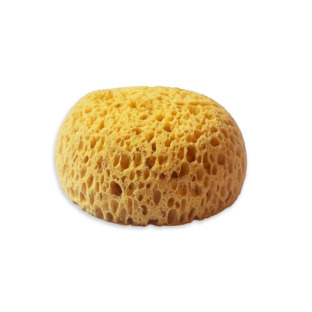 Stamperia Sponge Paint