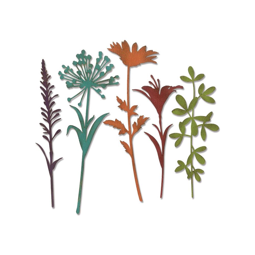 Sizzix Thinlits Dies By Tim Holtz - Wildflower Stems #2