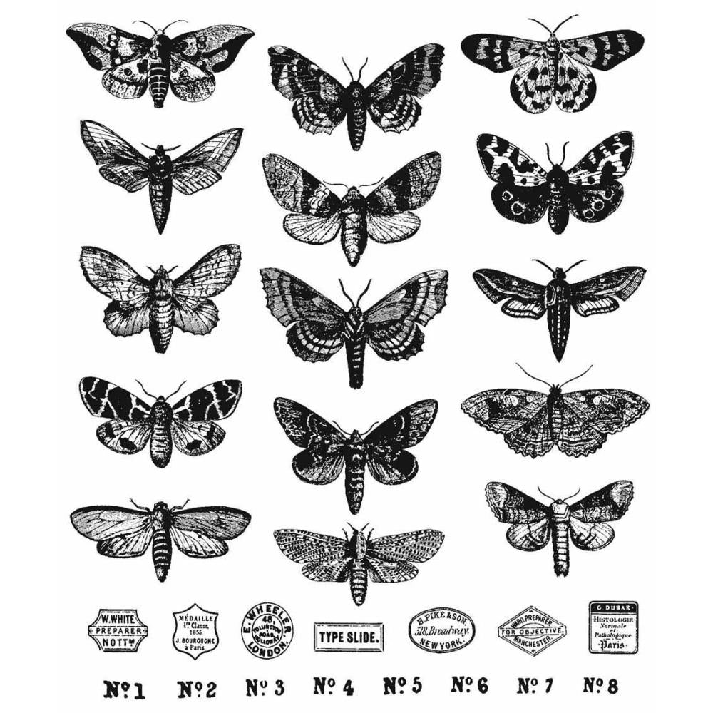 Tim Holtz Cling Rubber Stamp Set - Moth Study