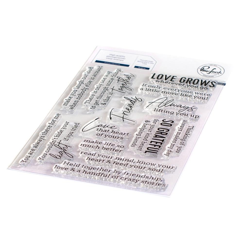 Pinkfresh Studio Clear Stamp Set - Always Uplifting