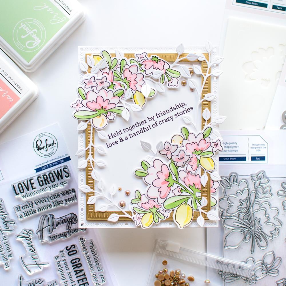 Pinkfresh Studio Stencils - Citrus Bloom Layering