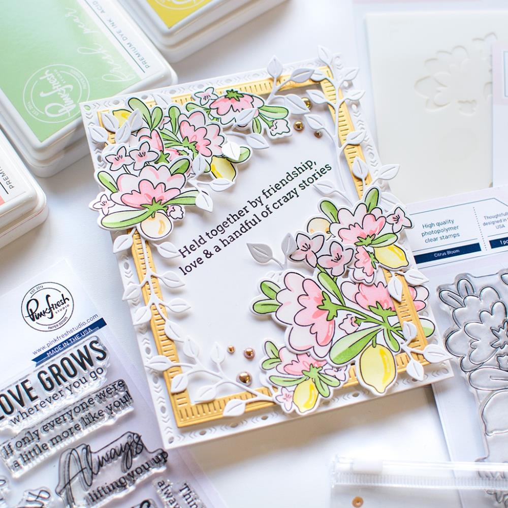 Pinkfresh Studio Clear Stamp Set - Always Uplifting