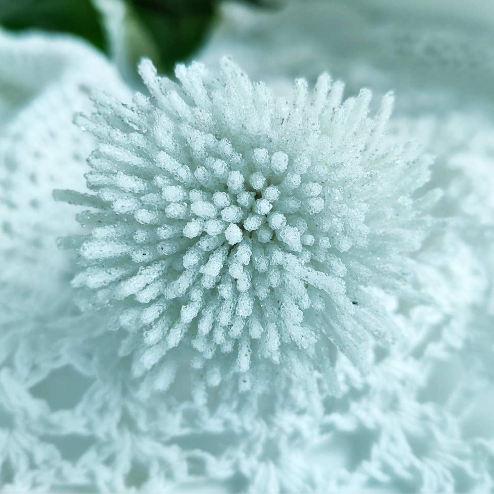 Dress My Craft Sugar Thread Pollen - White