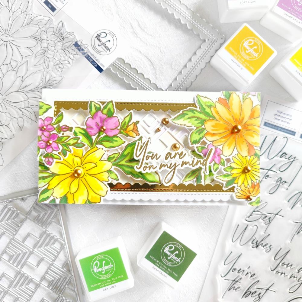 Pinkfresh Studio Clear Stamp Set - Modern Script Sentiments