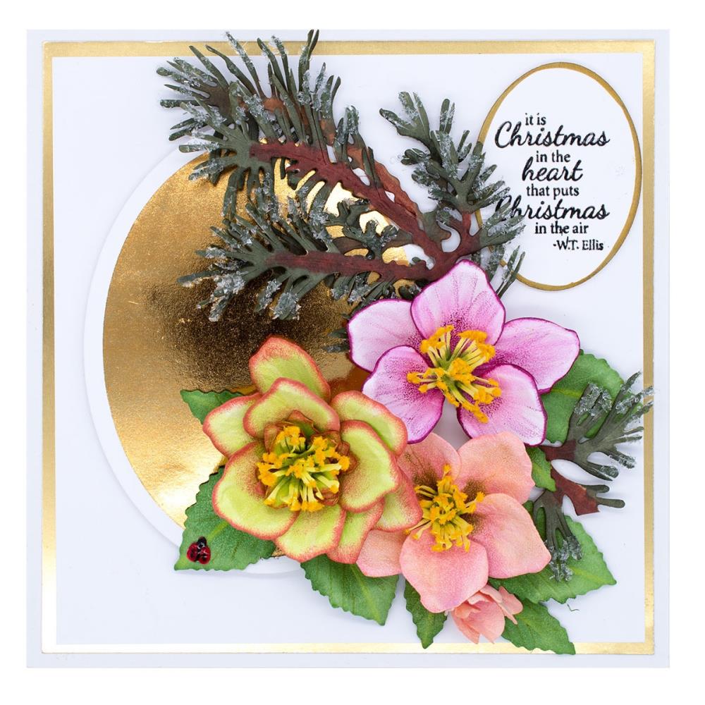 Spellbinders Etched Die - Helleborus - Winter Garden