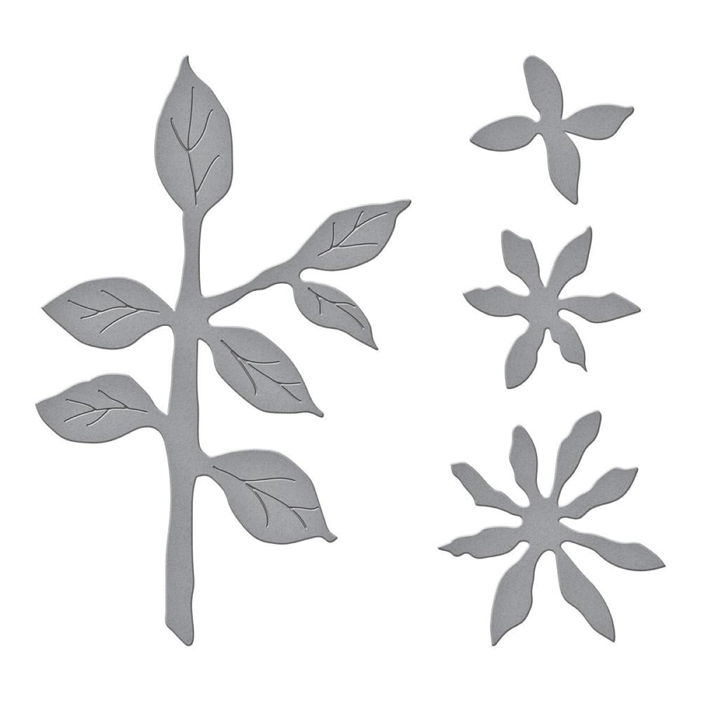 Spellbinders Etched Dies By Susan Tierney-Cockburn - Carolina Allspice- The Painter's Garden