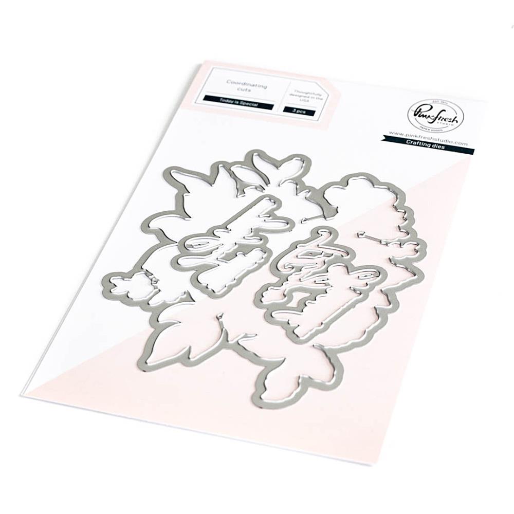 Pinkfresh Studio Die Set - Today Is Special