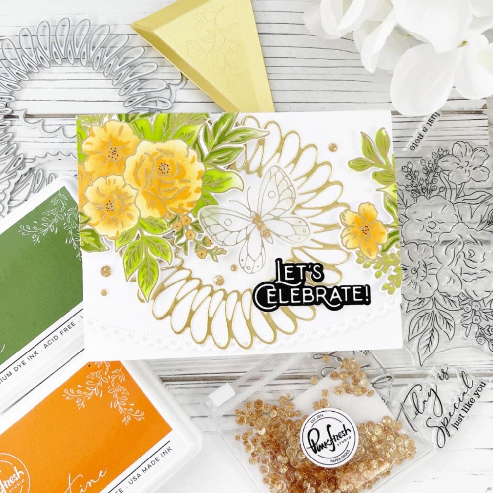 Pinkfresh Studio Clear Stamp Set - Today Is Special