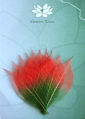 10 Dual Tone Rubber Tree Leaves Red/Green - Crafty Divas