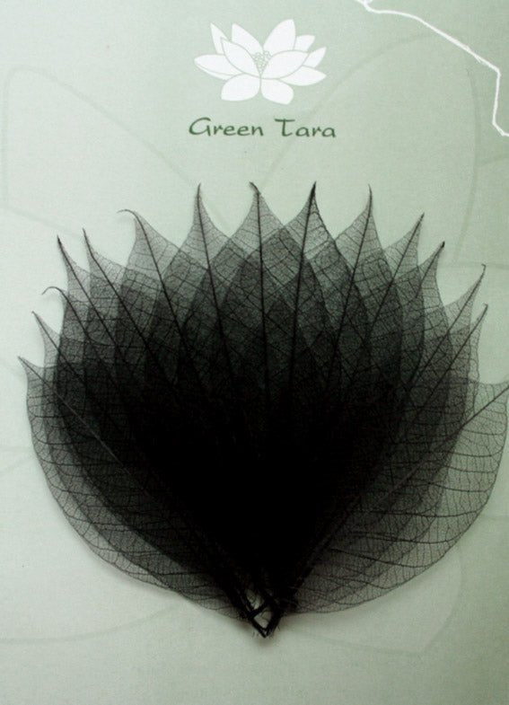 15 Black Rubber Tree Leaves - Crafty Divas