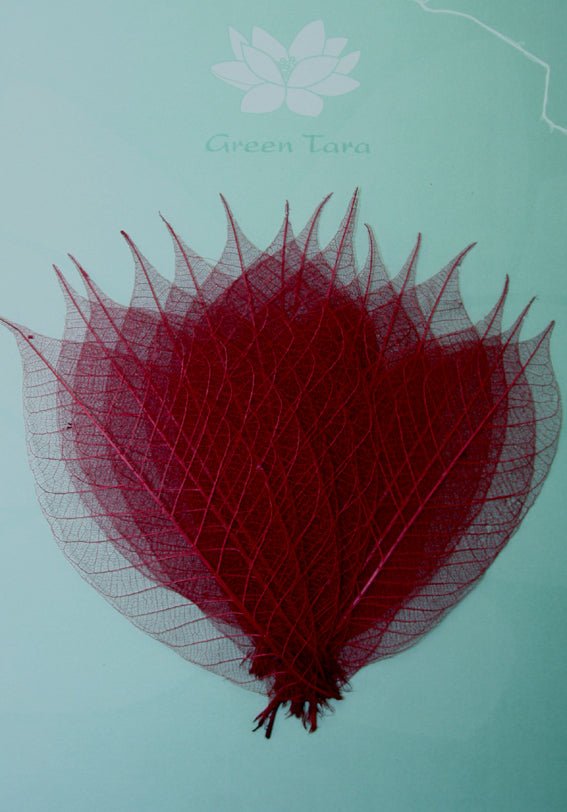 15 Burgundy Skeleton Leaves - Crafty Divas