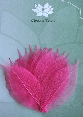 15 Pink Skeleton Leaves - Crafty Divas