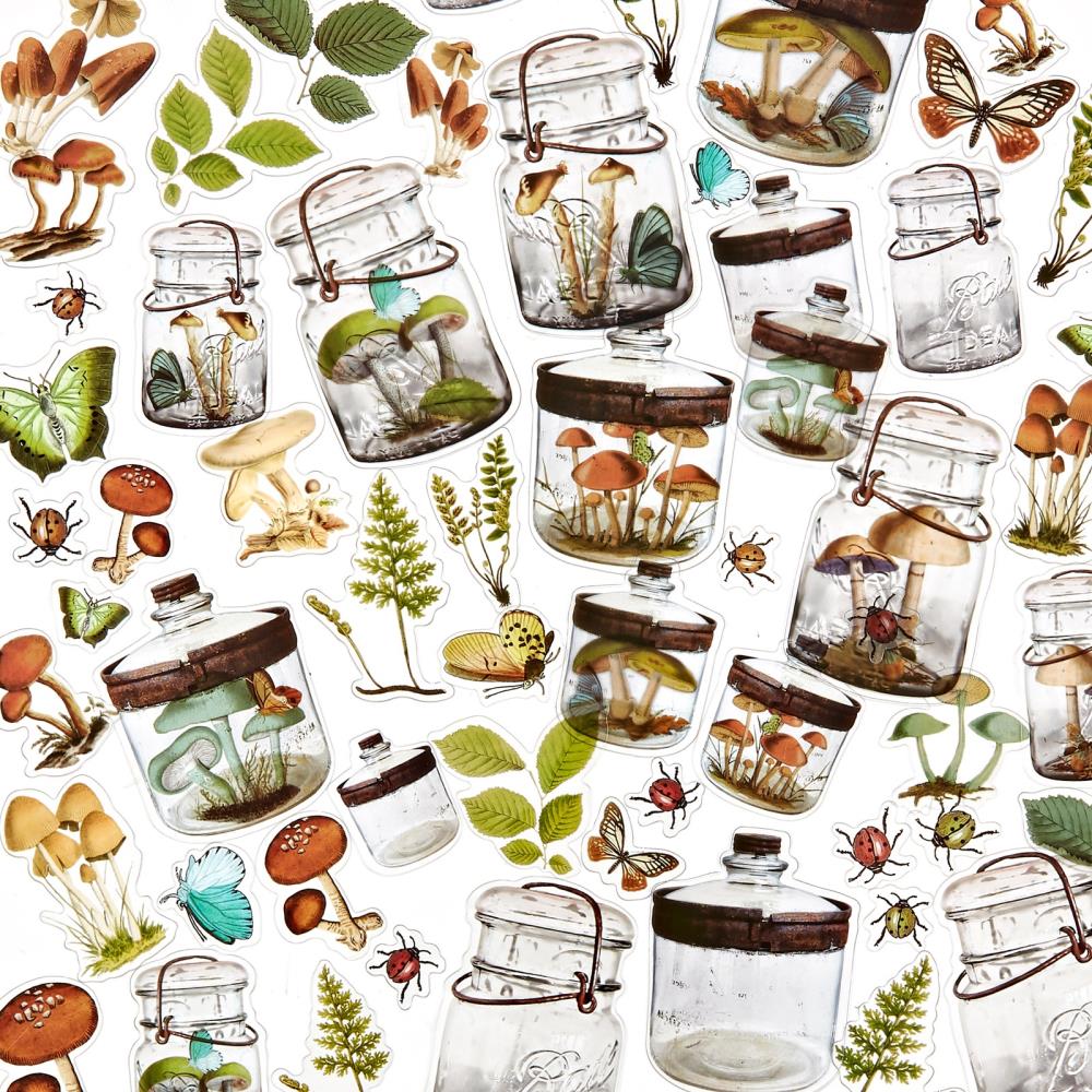 49 & Market Acetate Shapes Nature Study - Crafty Divas