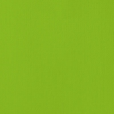 Textured Cardstock - Cricket