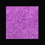 Shimmerz- Aqua Huez- AFRICAN VIOLET